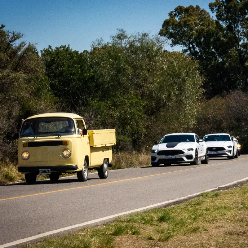 Sube la caravana al viñedo