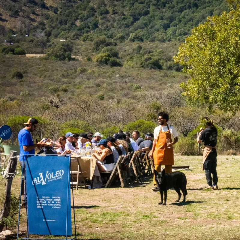 Almuerzo en el viñedo Al Voleo